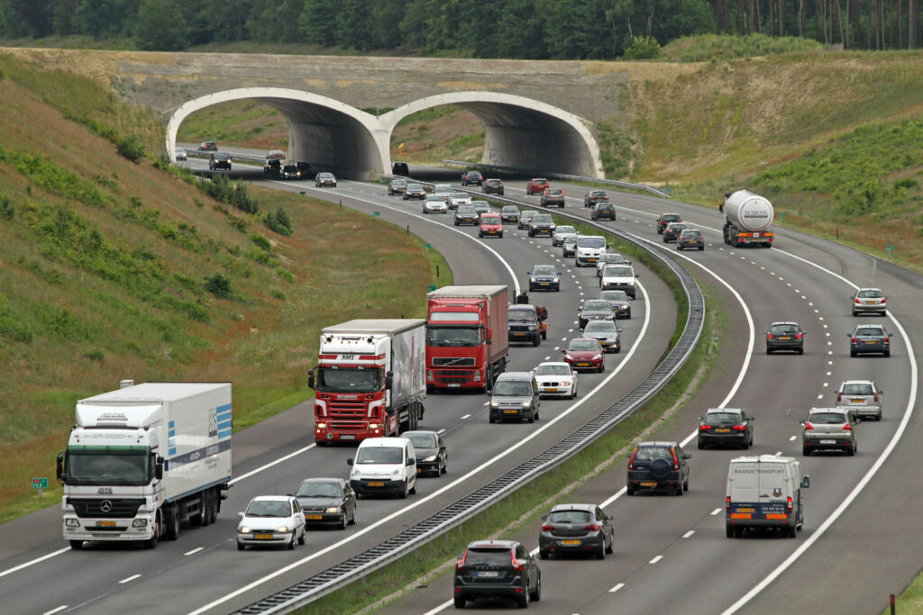 Wildpassage over snelweg – foto: G. van Ommering