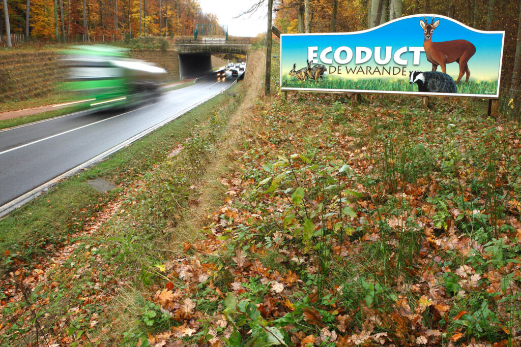Wildviaduct / Ecopassage – foto: Wouter Pattyn